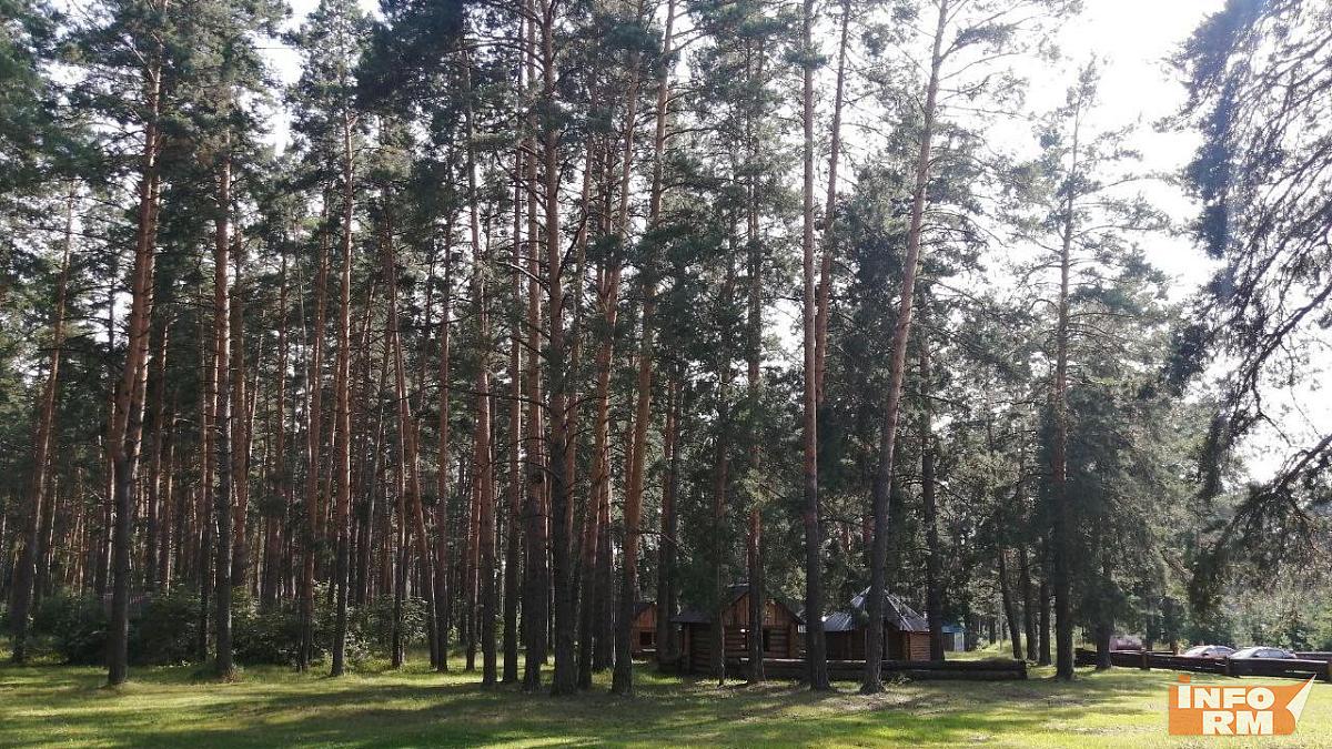 Пожароопасность лесов в Мордовии остаётся высокой Пожароопасность лесов в Мордовии остаётся высокой