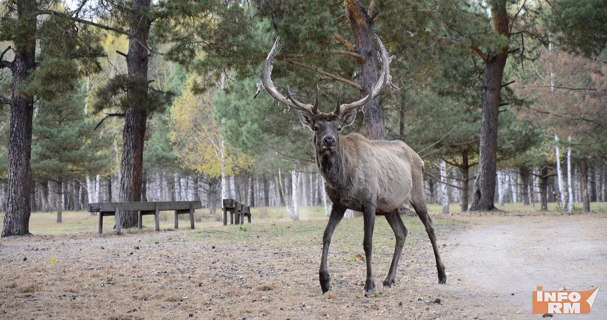 Для туристов в Мордовии специально подготовили «Семейные маршруты» 