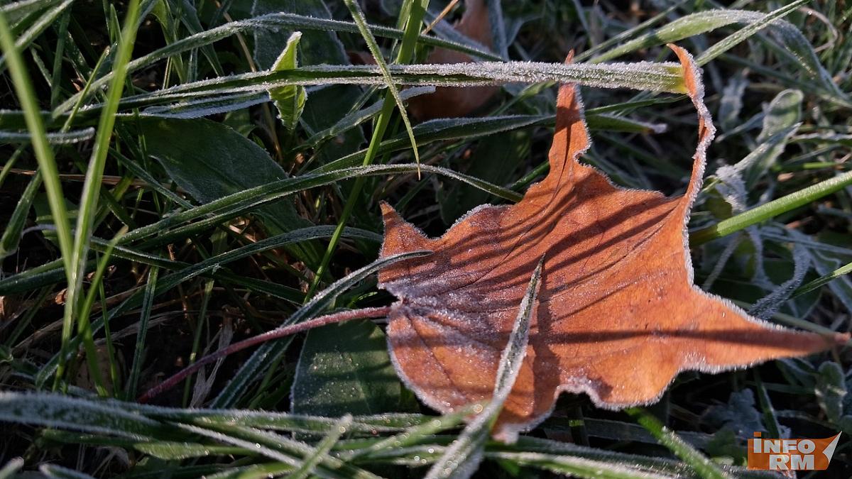 Ночью в европейской части России зафиксировали 20-градусные морозы Ночью в европейской части России зафиксировали 20-градусные морозы