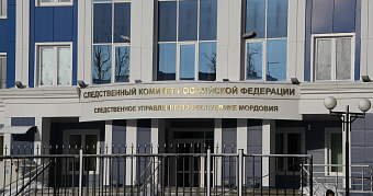 Жительница Мордовии заставляла маленькую дочь воровать алкоголь и продукты 