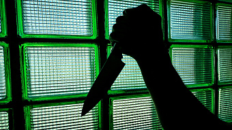 Житель Мордовии более 20 раз ударил знакомую ножом