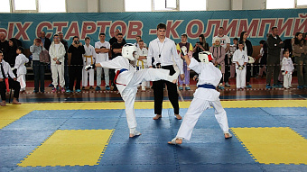 Каратисты Мордовии завоевали педали первенства ПФО