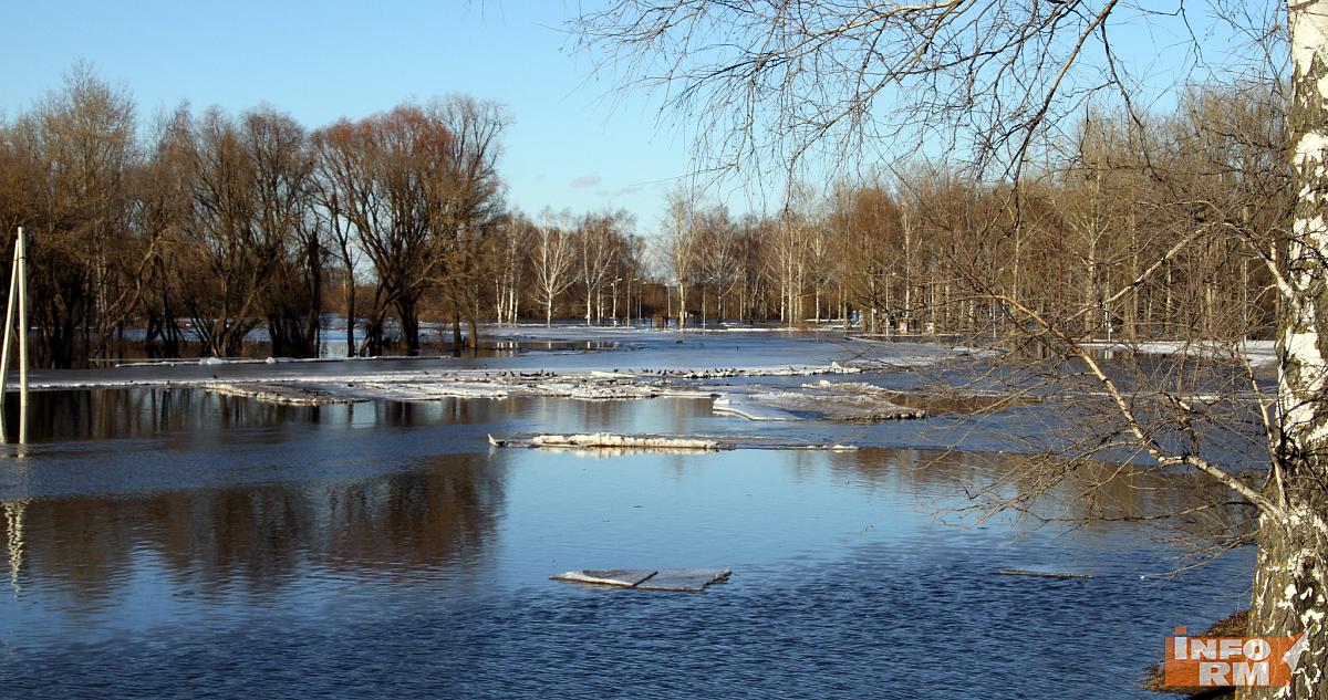 Сельчане в Мордовии попросили дорогу и защиту от паводка 