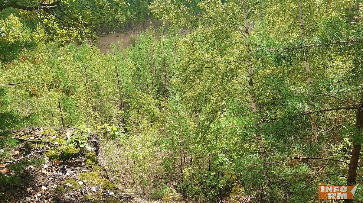 Высокая пожароопасность лесов сохраняется в Мордовии Высокая пожароопасность лесов сохраняется в Мордовии