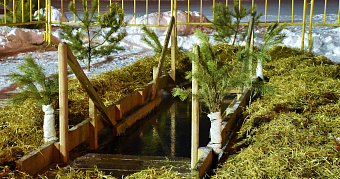 Назван главный «смертный грех» на Крещение 