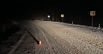 На сбитого в Мордовии пешехода составили протокол 