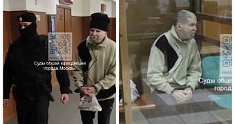 На волю в Мордовии попросился «дикий гусь» из Мичигана 