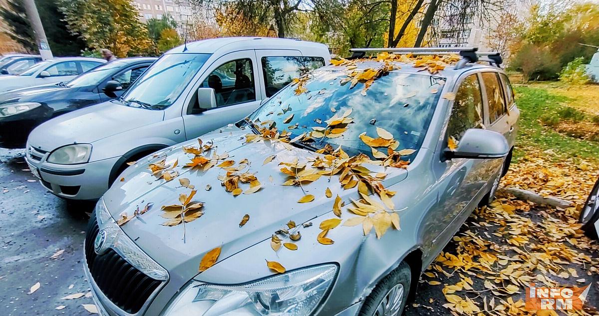 Праворульные и гибридные машины в России оказались под запретом 