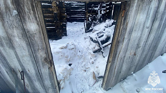 В Липках сгорела баня