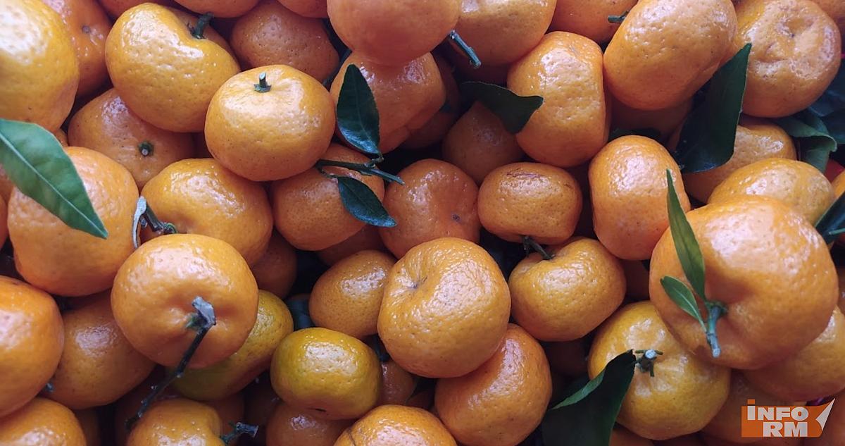 Мандарины в России стали дешевле на 15% 