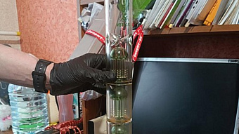 Жительница Саранска арендовала квартиру для выращивания наркотиков