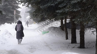 МЧС предупреждает: в Мордовии – опять метель и гололедица