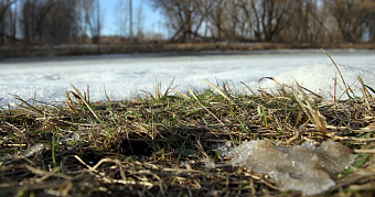 В Мордовии ожидается оттепель и мокрый снег 