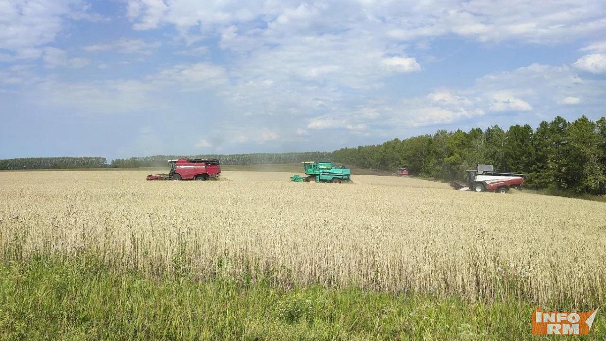 В Мордовии Атяшевский район лидирует по валовому сбору зерна В Мордовии Атяшевский район лидирует по валовому сбору зерна