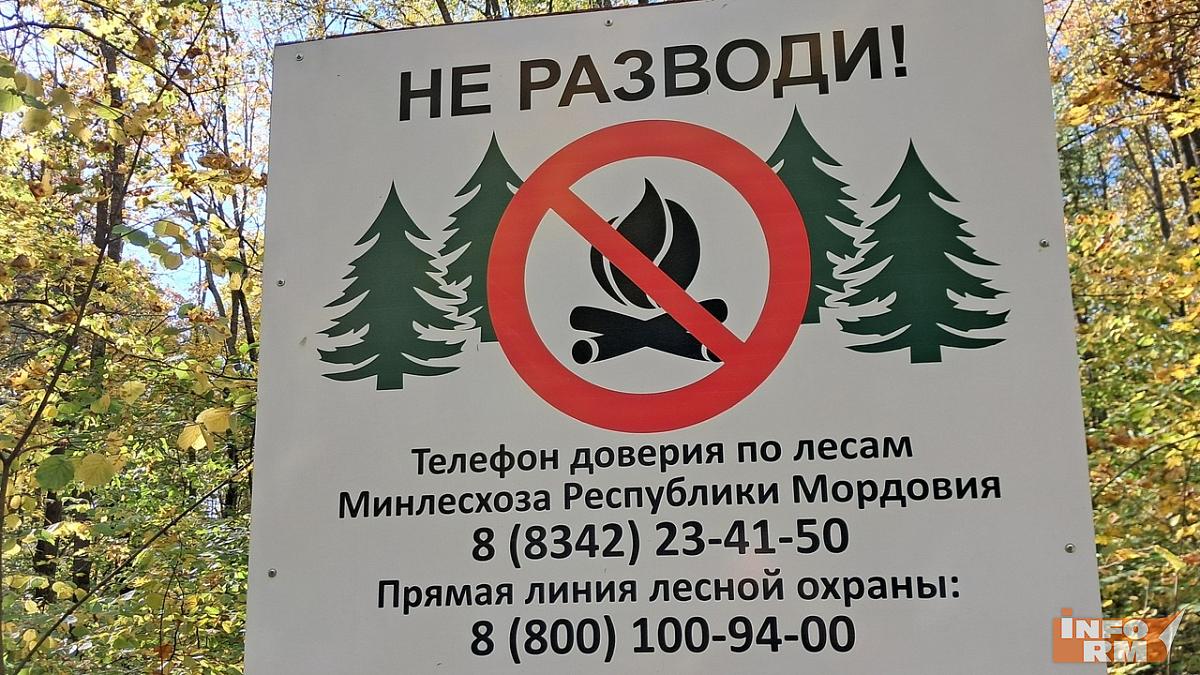 Леса в Мордовии закрыли для посещения до 6 октября 
