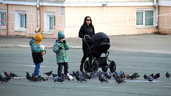 В Мордовии более 360 женщин получили сертификат на материнский капитал