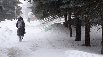 В Мордовии прогнозируют метель и гололедицу
