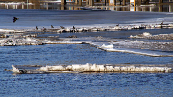 Погода в Мордовии берёт курс на весну