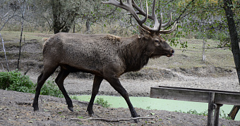 В развитие туризма в Мордовии вложили почти 100 миллионов рублей 