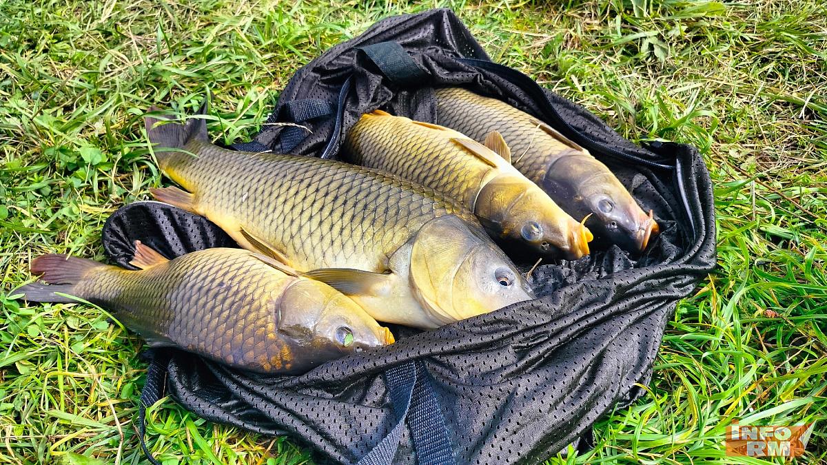 Более 300 кг рыбы поймали спасатели Мордовии на соревнованиях в Липецкой области Более 300 кг рыбы поймали спасатели Мордовии на соревнованиях в Липецкой области
