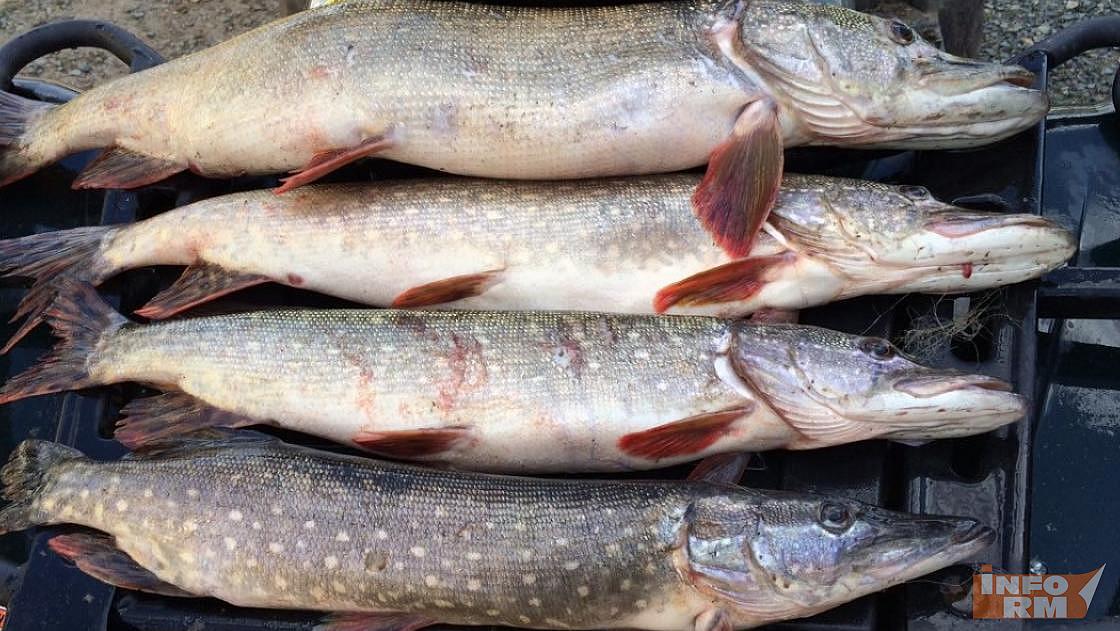 Трезвость и жилет: рыбакам Мордовии напомнили о безопасности на льду