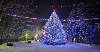 За победу в конкурсе «Ёлка России» поборется 14-метровая ель из Мордовии 