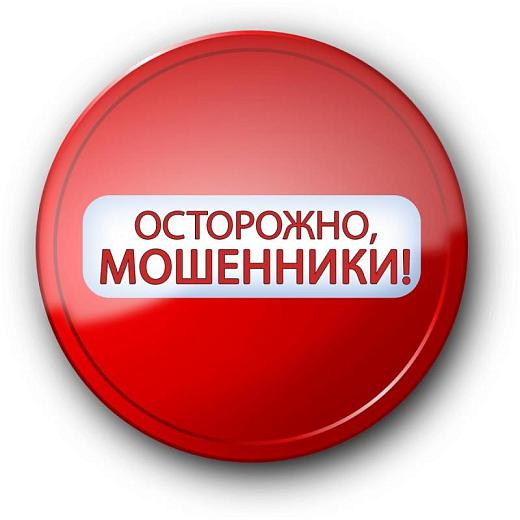 Глава села из Мордовии подарила мошенникам более 900 тысяч рублей