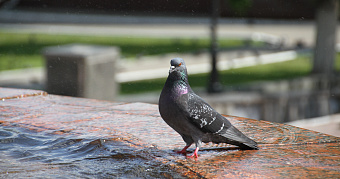 Что подарить на 8 Марта: россиянки рассказали о своих предпочтениях 