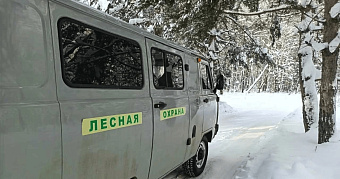 В Мордовии несмотря на рекордные снегопады продолжается подсчёт диких животных и птиц 