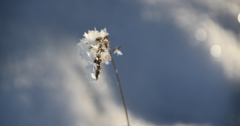 На 10 февраля в Мордовии объявлено оперативное предупреждение 
