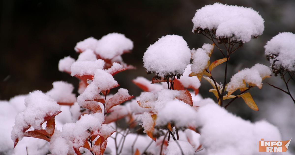 Гидрометцентр предупреждает о приближении ветров и мокрого снега 