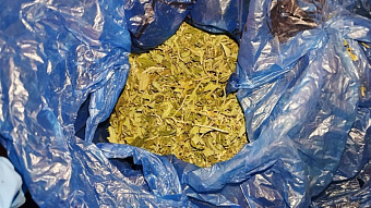 Пьяный наркоман гонял по Саранску на мотоцикле