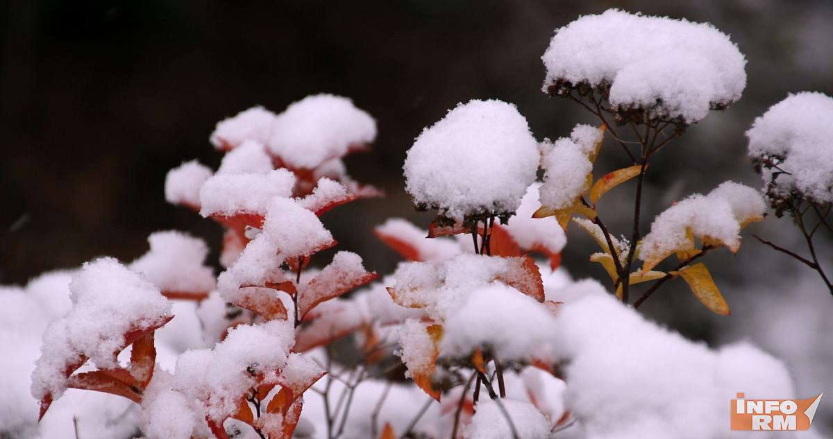 Россиян предупредили о скором потеплении и дождях 