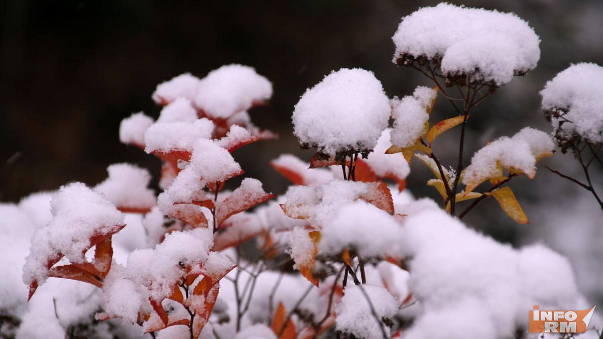 Большая часть России уже покрыта снегом 