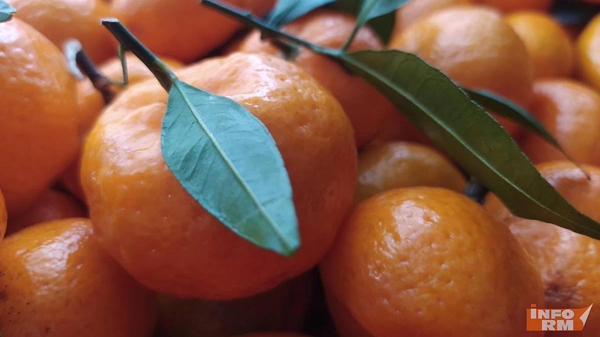 Новый год 2026: что подарить коллегам на праздник 