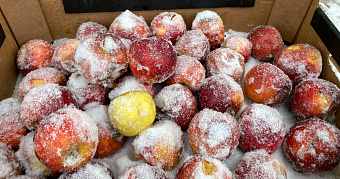 В Мордовии ожидается ветер до 12 м/с 