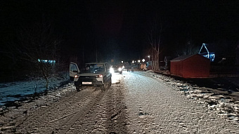 В Мордовии погиб стоявший на проезжей части мужчина