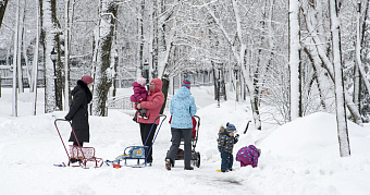 Алименты в России начнут рассчитывать по-новому 