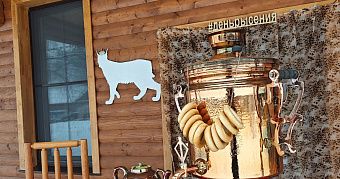 День рысения в Мордовии: осталось совсем немного 