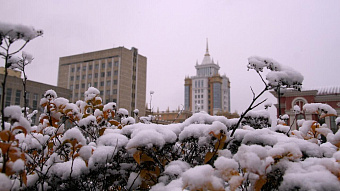 Зимы не ждите: озвучен прогноз на первые дни декабря 