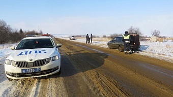 В Мордовии задержали 19 пешеходов-нарушителей