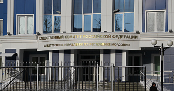 В Саранске закладчице и её юному спутнику дали 16,5 лет колонии на двоих 