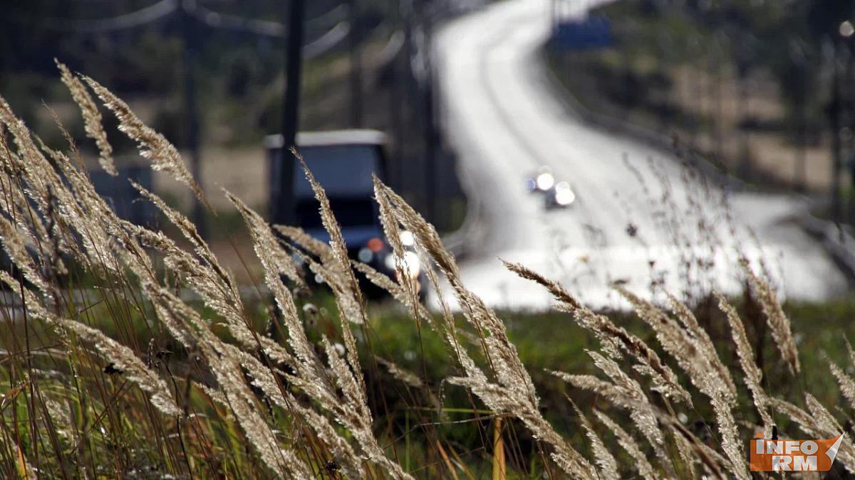 Два жителя Мордовии задержаны на трассе в Тамбовской области 