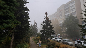 В Мордовии прогнозируют туман и сильный ветер