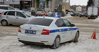 Спецбатальон ДПС в Мордовии провёл операцию «Паутина» 