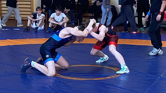 Борцы региона-13 завоевали 13 медалей всероссийского турнира