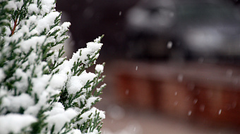 Мордовия ждёт снег