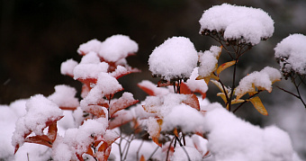 Россиян предупредили о скором потеплении и дождях 