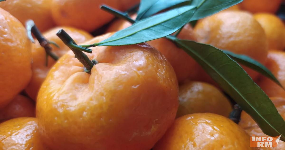 Предновогодняя ярмарка в Рузаевке состоится 21 декабря 