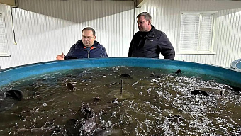  Новый министр сельского хозяйства Мордовии начал работу с поддержки инвестпроектов и выхода на экспорт